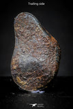 21414 - Taza (NWA 859) Iron Ungrouped Plessitic Octahedrite Meteorite 2.1g ORIENTED