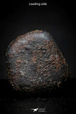 21415 - Taza (NWA 859) Iron Ungrouped Plessitic Octahedrite Meteorite 3.7g ORIENTED