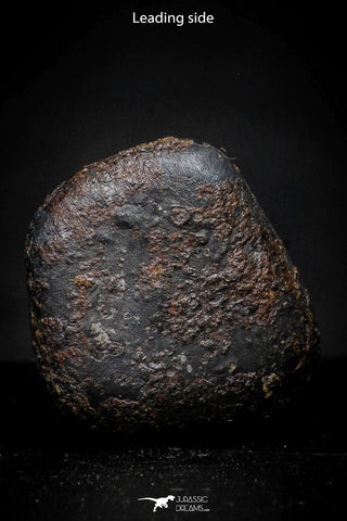 21415 - Taza (NWA 859) Iron Ungrouped Plessitic Octahedrite Meteorite 3.7g ORIENTED