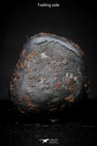 21415 - Taza (NWA 859) Iron Ungrouped Plessitic Octahedrite Meteorite 3.7g ORIENTED