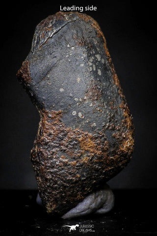 21416 - Taza (NWA 859) Iron Ungrouped Plessitic Octahedrite Meteorite 4.0g ORIENTED