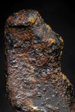 21416 - Taza (NWA 859) Iron Ungrouped Plessitic Octahedrite Meteorite 4.0g ORIENTED