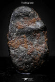 21417 - Taza (NWA 859) Iron Ungrouped Plessitic Octahedrite Meteorite 1.5g ORIENTED