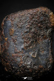 21418 - Taza (NWA 859) Iron Ungrouped Plessitic Octahedrite Meteorite 2.1g ORIENTED