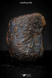 21418 - Taza (NWA 859) Iron Ungrouped Plessitic Octahedrite Meteorite 2.1g ORIENTED