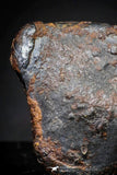 21418 - Taza (NWA 859) Iron Ungrouped Plessitic Octahedrite Meteorite 2.1g ORIENTED