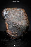 21418 - Taza (NWA 859) Iron Ungrouped Plessitic Octahedrite Meteorite 2.1g ORIENTED