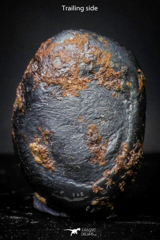 21420 - Taza (NWA 859) Iron Ungrouped Plessitic Octahedrite Meteorite 1.9g ORIENTED