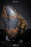 21420 - Taza (NWA 859) Iron Ungrouped Plessitic Octahedrite Meteorite 1.9g ORIENTED