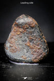 21421 - Taza (NWA 859) Iron Ungrouped Plessitic Octahedrite Meteorite 0.5g ORIENTED