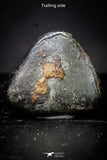 21421 - Taza (NWA 859) Iron Ungrouped Plessitic Octahedrite Meteorite 0.5g ORIENTED