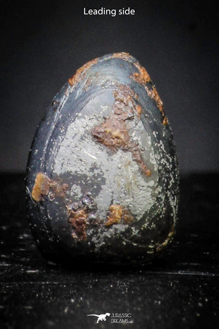 21422 - Taza (NWA 859) Iron Ungrouped Plessitic Octahedrite Meteorite 0.8g ORIENTED