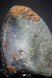 21422 - Taza (NWA 859) Iron Ungrouped Plessitic Octahedrite Meteorite 0.8g ORIENTED