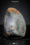 21422 - Taza (NWA 859) Iron Ungrouped Plessitic Octahedrite Meteorite 0.8g ORIENTED