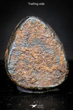 21423 - Taza (NWA 859) Iron Ungrouped Plessitic Octahedrite Meteorite 1.2g ORIENTED