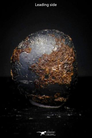 21424 - Taza (NWA 859) Iron Ungrouped Plessitic Octahedrite Meteorite 0.7g ORIENTED