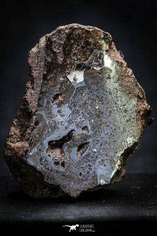 21425 - Sericho Pallasite Meteorite Polished Section 19.5g Fell in Kenya