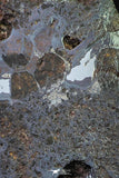 21426 - Sericho Pallasite Meteorite Polished Section 24.1g Fell in Kenya