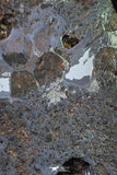 21426 - Sericho Pallasite Meteorite Polished Section 24.1g Fell in Kenya
