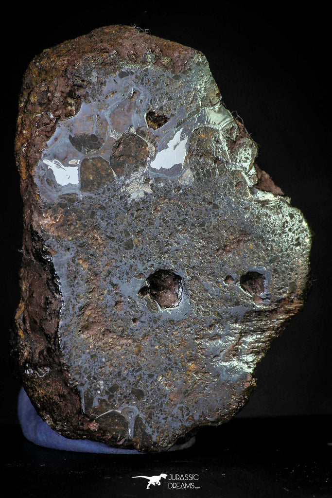 21426 - Sericho Pallasite Meteorite Polished Section 24.1g Fell in Kenya