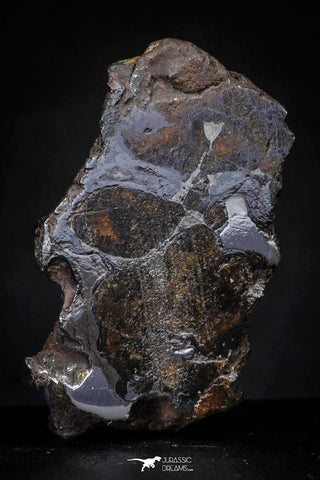 21427 - Sericho Pallasite Meteorite Polished Section 16.8g Fell in Kenya