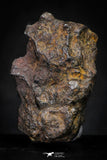 21427 - Sericho Pallasite Meteorite Polished Section 16.8g Fell in Kenya