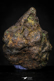 21428 - Sericho Pallasite Meteorite Polished Section 10g Fell in Kenya
