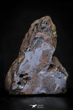 21429 - Sericho Pallasite Meteorite Polished Section 9.4g Fell in Kenya