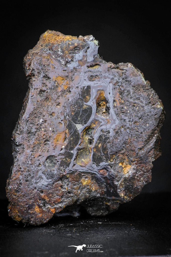 21431 - Sericho Pallasite Meteorite Polished Section 5.9g Fell in Kenya