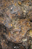 21431 - Sericho Pallasite Meteorite Polished Section 5.9g Fell in Kenya
