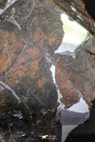 21433 - Sericho Pallasite Meteorite Polished Section 9.6g Fell in Kenya