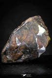 21433 - Sericho Pallasite Meteorite Polished Section 9.6g Fell in Kenya