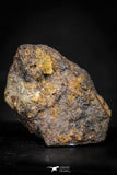 21433 - Sericho Pallasite Meteorite Polished Section 9.6g Fell in Kenya