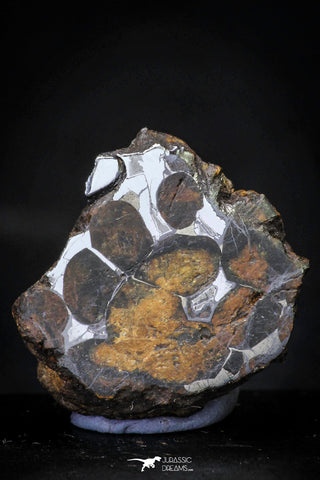 21434 - Sericho Pallasite Meteorite Polished Section 7.6g Fell in Kenya