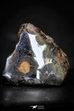 21435 - Sericho Pallasite Meteorite Polished Section 4.4g Fell in Kenya