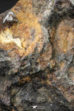 21435 - Sericho Pallasite Meteorite Polished Section 4.4g Fell in Kenya