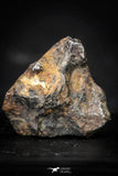 21435 - Sericho Pallasite Meteorite Polished Section 4.4g Fell in Kenya