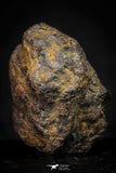 21436 - Sericho Pallasite Meteorite Polished Section 7.2g Fell in Kenya