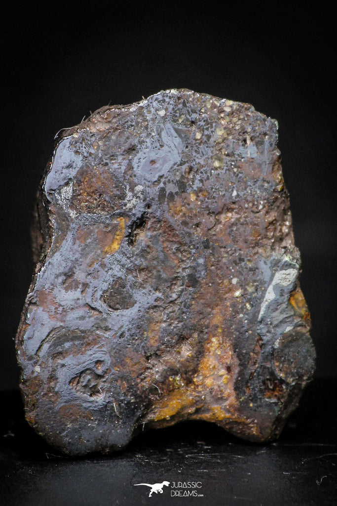21437 - Sericho Pallasite Meteorite Polished Section 8.5g Fell in Kenya