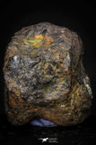 21437 - Sericho Pallasite Meteorite Polished Section 8.5g Fell in Kenya