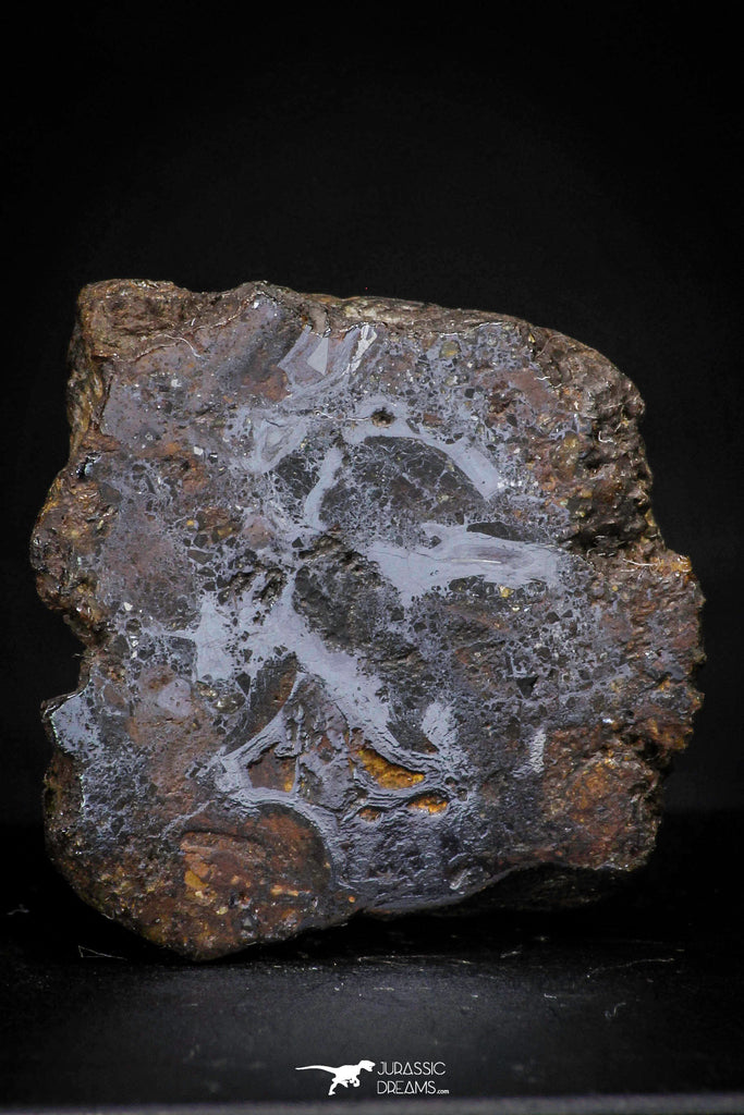 21438 - Sericho Pallasite Meteorite Polished Section 8.4g Fell in Kenya