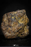 21438 - Sericho Pallasite Meteorite Polished Section 8.4g Fell in Kenya