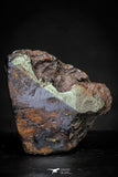 21439 - Sericho Pallasite Meteorite Polished Section 7.6g Fell in Kenya