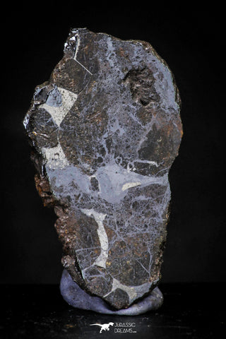 21440 - Sericho Pallasite Meteorite Polished Section 4.2g Fell in Kenya