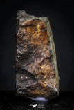 21442 - Sericho Pallasite Meteorite Polished Section 2.7g Fell in Kenya