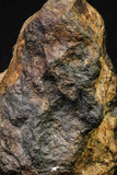 21443 - Huge Complete NWA L-H Type Unclassified Ordinary Chondrite Meteorite 1020.8g