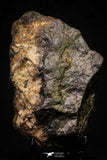 21443 - Huge Complete NWA L-H Type Unclassified Ordinary Chondrite Meteorite 1020.8g