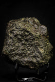 21444 - Beautiful Complete NWA L-H Type Unclassified Ordinary Chondrite Meteorite 573.7g