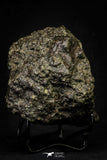 21444 - Beautiful Complete NWA L-H Type Unclassified Ordinary Chondrite Meteorite 573.7g