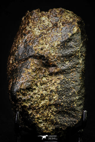 21445 - Partial NWA L-H Type Unclassified Ordinary Chondrite Meteorite 433.8g